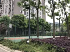 宗申青年国际 2室1厅 北