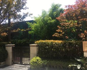 龙湖双珑原著 4室2厅 南