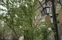 远洋天著洋房实景图