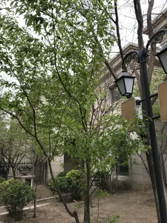 远洋天著洋房实景图