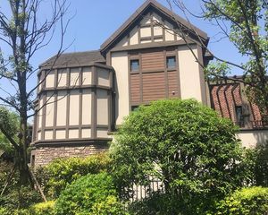 龙湖双珑原著3号地4室2厅西南