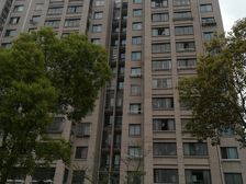 2号线.唐镇第四代国际社区店总推荐,精装修