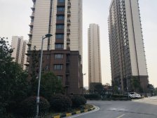 领秀金品花苑 3室2厅 南