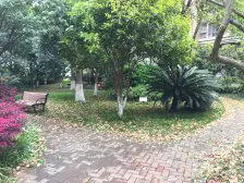 无抵押 现场实勘,必看好房