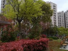 南北通透,闹中取静,中式风格,价格好谈