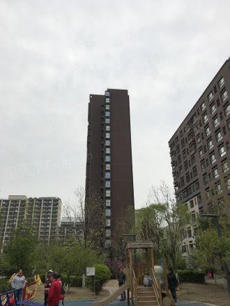 金第万科金域东郡