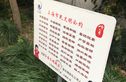 纪念路494弄小区实景图