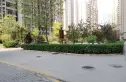 华城绿洲二期实景图