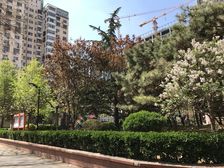 ★★★首付95万 东二环 全明格局 91年楼龄 满五年 诚售