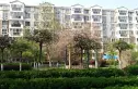 金色家园实景图