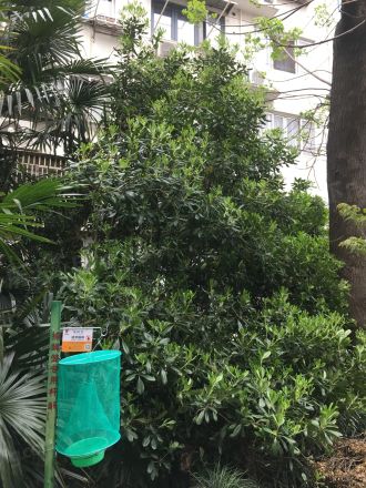 纪念路494弄小区实景图