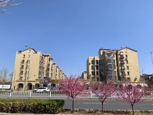 世嘉光织谷东区2室1厅南北