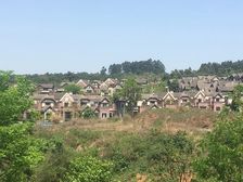龙湖双珑原著5号地4室1厅东南