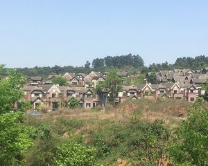 龙湖双珑原著5号地4室1厅东南