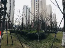 领秀金品花苑 地铁口 虎丘塔 诚心出售