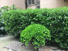 电梯房+中区+龙之梦配套+公园环伺+新装修拎衣住+地铁