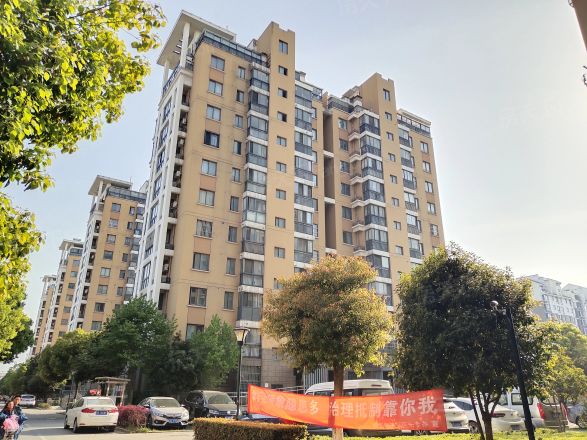玫瑰久久实景图