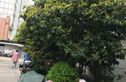 纪念路494弄小区实景图