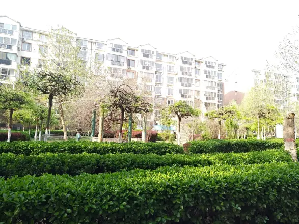 金色家园实景图