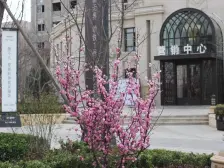 地铁口新小区 一手毛坯房 产权清晰 随时看房