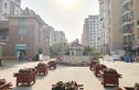 玫瑰久久实景图