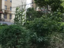 大开间,卫生间全明,品质小区,小区入口附近