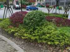 唐镇·齐友佳苑·1室·1厅