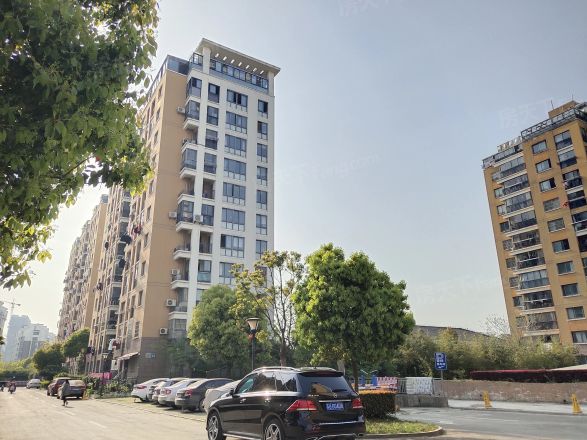 玫瑰久久实景图