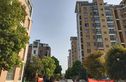 玫瑰久久实景图
