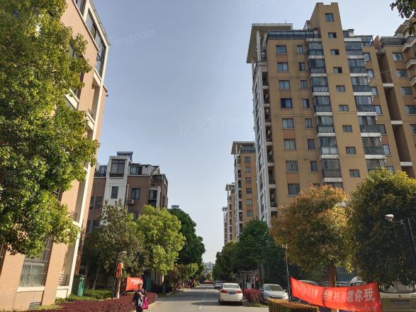 玫瑰久久实景图