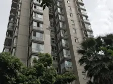 新上房源 南方新城鑫苑 精装三房 小高层环境优美