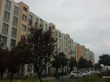 云树仁居3室2厅南北