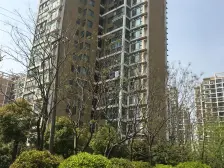 该小区属于成熟社区,绿化多 生活便利,此房户型方正