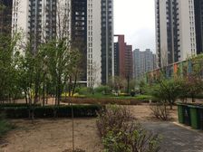 中高层可心意入眼皆绿舒心融泽嘉园中6满五年唯一四轨