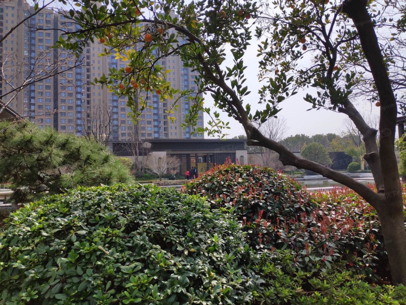 荷澜庭图片相册,荷澜庭户型图,样板间图,装修效果图,实景图-苏州房天下