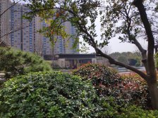 荷澜庭,多层洋房,133平三房,带大阳台