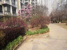 正常住宅,小户型,总房款低,交通便利