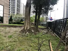 房子还在卖,看房提前