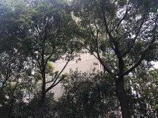 爱法珑庭 2室1厅 南 北