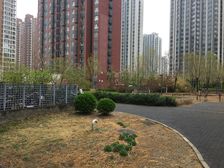 融泽嘉园西二路2号院满五唯一看小区花园视野好