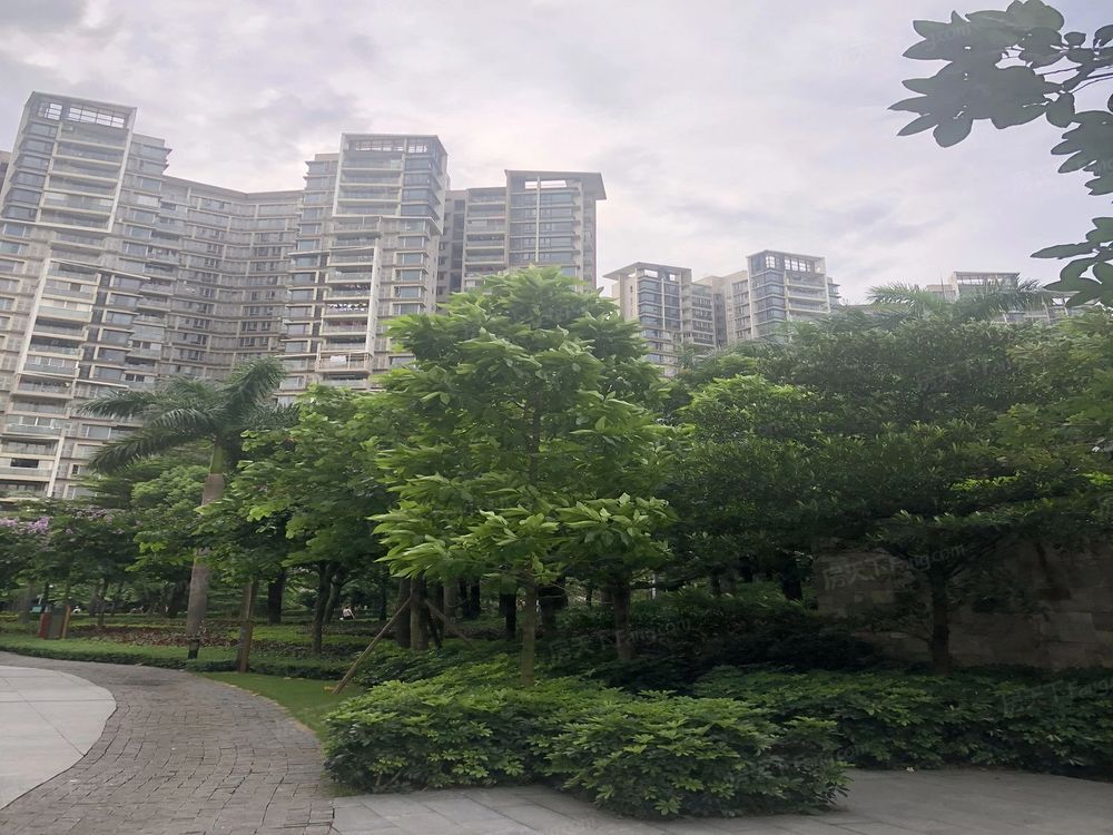 小区相关图