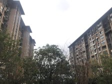 荷澜庭 1-2楼叠加 东边户 院子大 面积大 资源都在