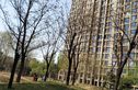鸿坤理想城曦望山实景图