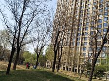 曦望山满五唯一双卫全明方正大三居两梯三户
