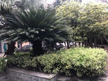 此房满五不唯一,户型方正格局通透,位置佳,采光好