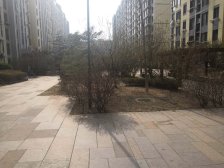 2009年,电梯,高楼层,装修好.