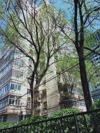 岭南路36号院实景图