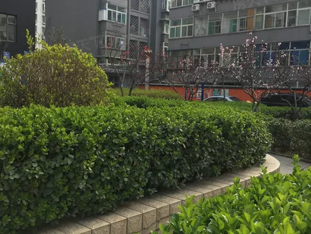 青年路五中 迎泽公园 并州北路 金圣甲第 大红本