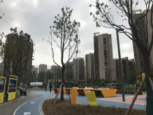 人车分流,采光充足,近公园 近天街