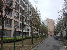 临港一年社保可买 非低楼 带装修 可拎包入住 采光好